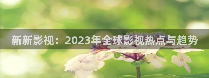 91红桃影院在线观看