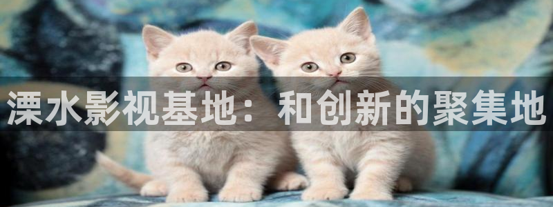 红桃影院在线资源