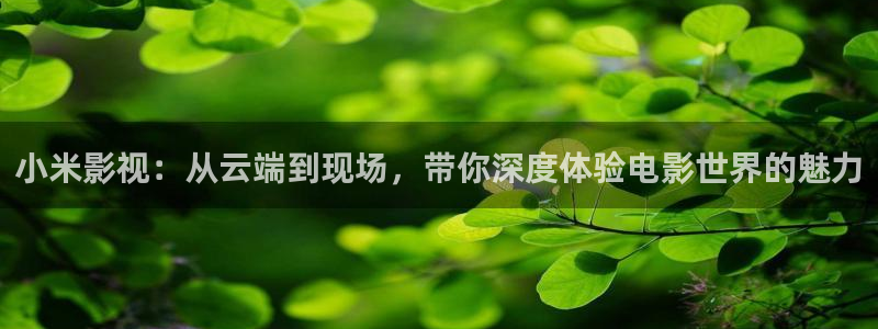 红桃电影在线免费观看：小米影视：从云端到现场，带你深度体验电影世界的魅力