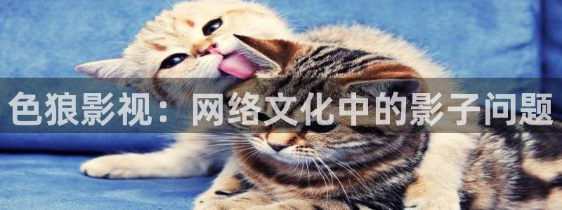 红桃电影院：色狼影视：网络文化中的影子问题