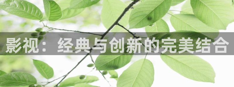 红桃电影观看高清