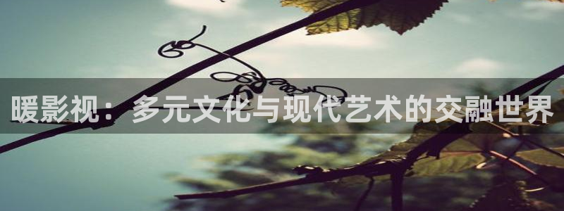 红桃影院电