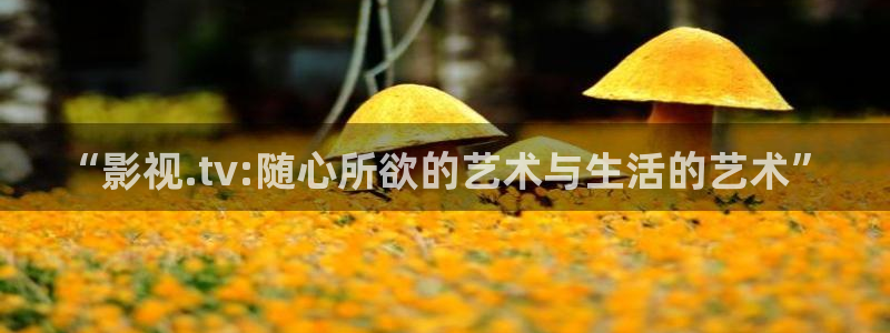 红桃电影网站