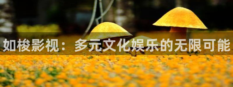 红桃午夜电影