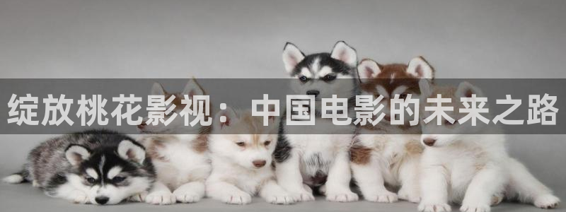 红桃影院在线观看免费：绽放桃花影视：中国电影的未来之路